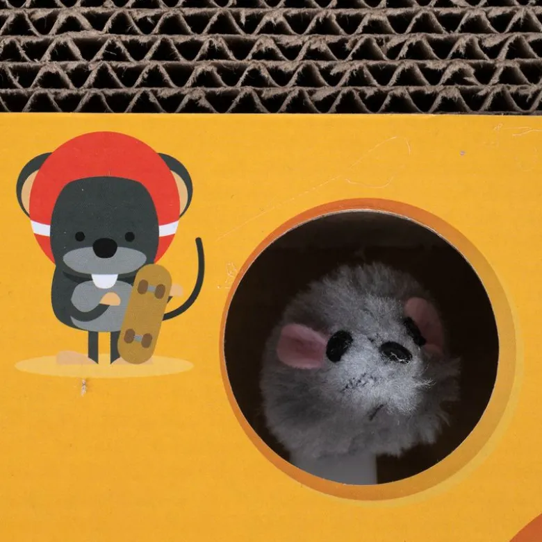 TIAKI kattelegetøj Whack-a-mole 2-i-1