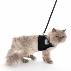 TIAKI kattesele Comfy med snor