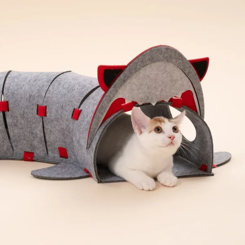 TIAKI kat tunnel haj