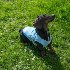 TIAKI kølevest til hunde