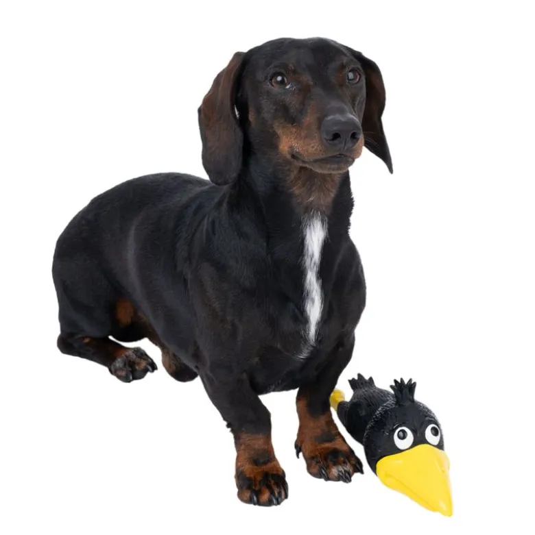 TIAKI latexlegetøj Ramiro