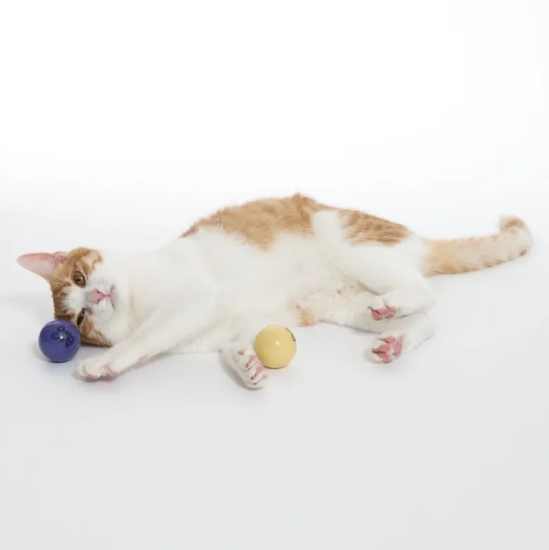 TIAKI LED-bolde til katte