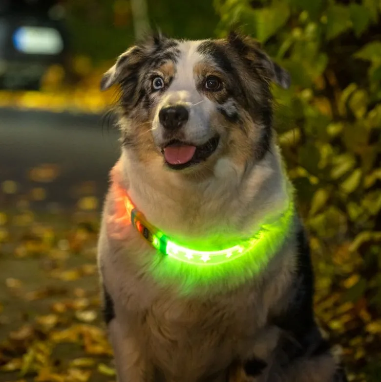 TIAKI LED-halsbånd til langhårede hunde