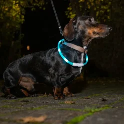 TIAKI Lille USB LED-halsbånd af silikone