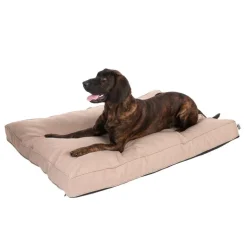TIAKI Memory Foam, beige