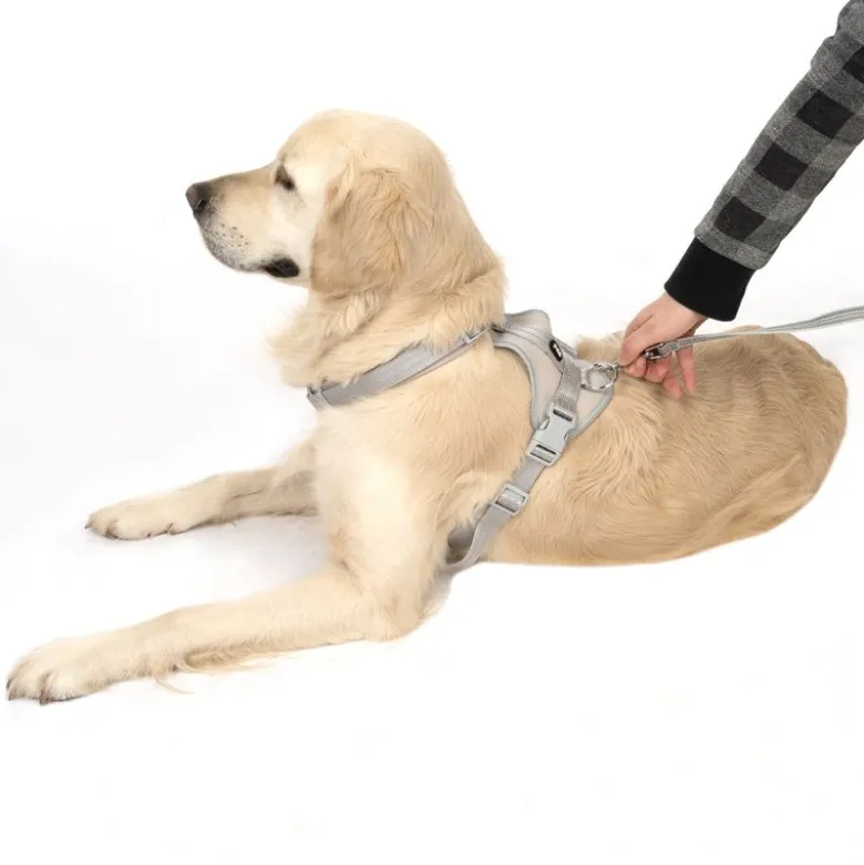 TIAKI Neoprene Sele, grå
