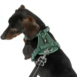 TIAKI Neoprene Sele, grøn