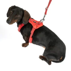 TIAKI Neoprene Sele, rød