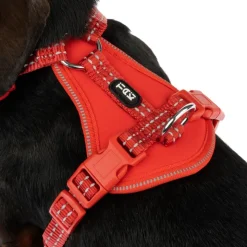 TIAKI Neoprene Sele, rød