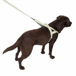TIAKI No-pull sele