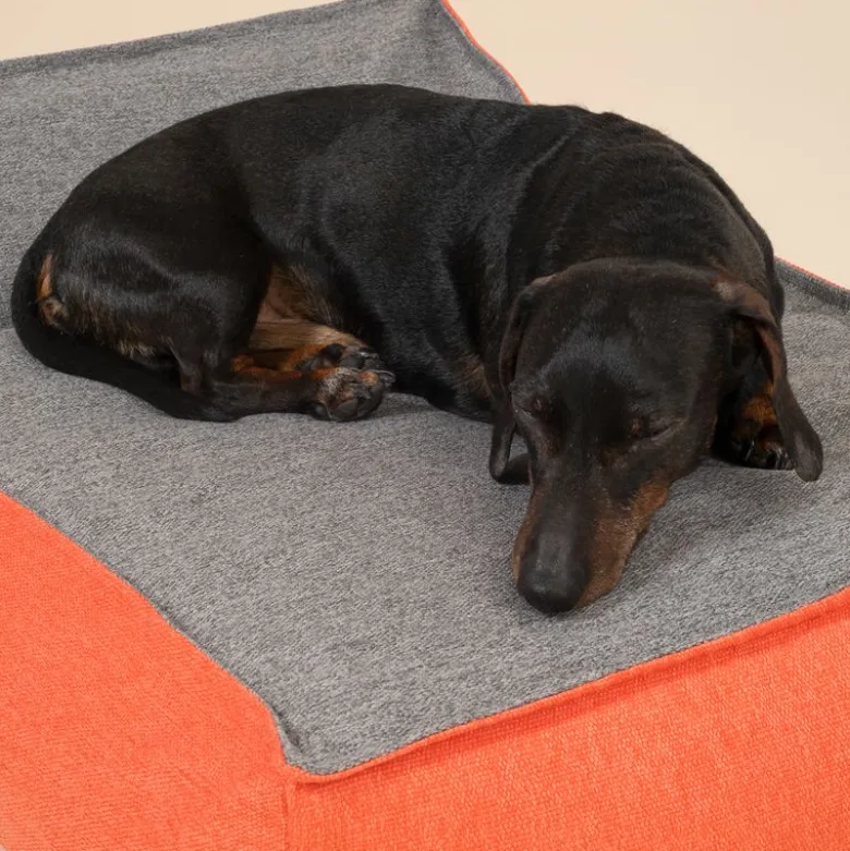 TIAKI Oppustelig Hundeseng