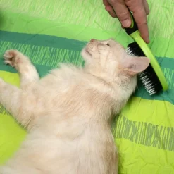 TIAKI Pet Brush Universal