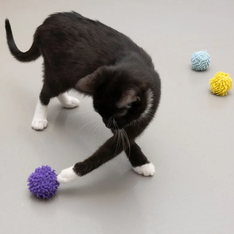 TIAKI pompon-boldsæt med katteurt