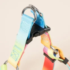 TIAKI porcelæn Rainbow
