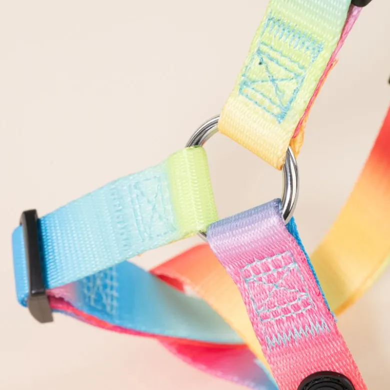 TIAKI porcelæn Rainbow