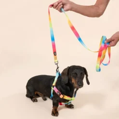 TIAKI Rainbow hundesnor
