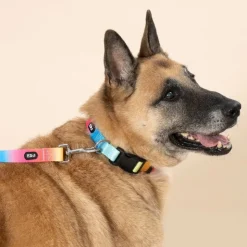 TIAKI Rainbow hundesnor