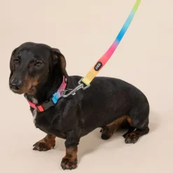TIAKI Rainbow hundesnor