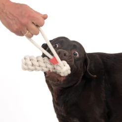 TIAKI Reb-Pind Hundelegetøj