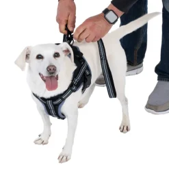 TIAKI Sadelsele til hunde