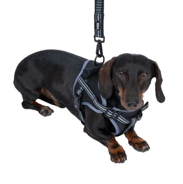 TIAKI Sadelsele til hunde