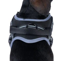 TIAKI Sadelsele til hunde