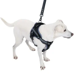 TIAKI Sadelsele til hunde