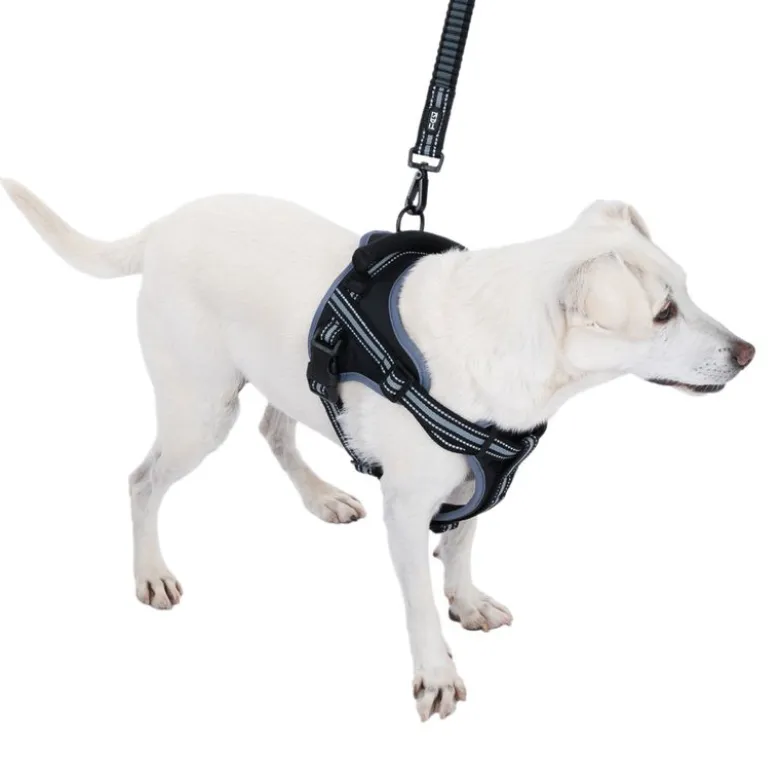 TIAKI Sadelsele til hunde