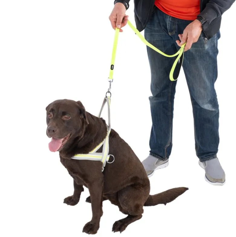 TIAKI selvlysende hundesnor