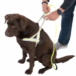 TIAKI selvlysende hundesnor