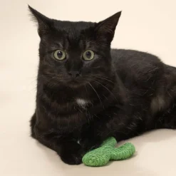 TIAKI Sisal-kaktus til katte