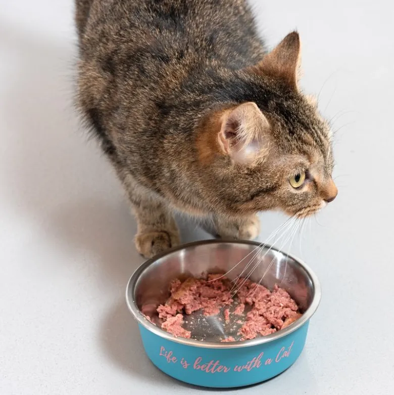TIAKI skål i rustfrit stål "Better With A Cat"