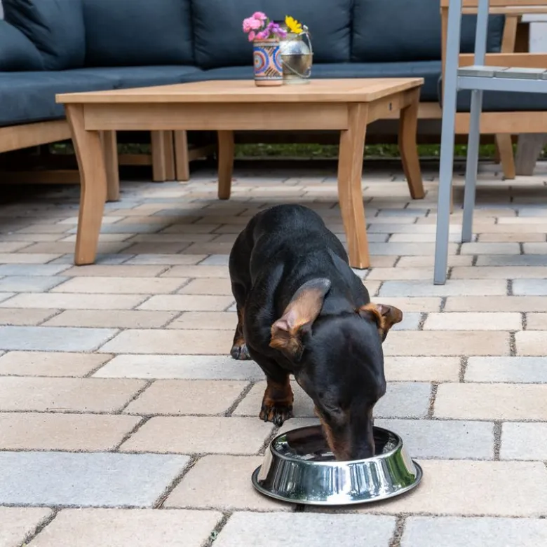 TIAKI skål i rustfrit stål Bye Bye Insects
