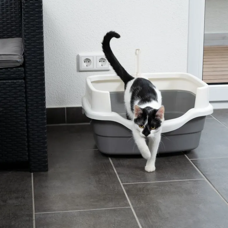 TIAKI skåltoilet Stormy