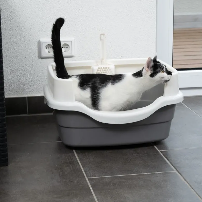 TIAKI skåltoilet Stormy