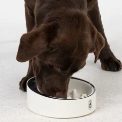 TIAKI Smart slowfeeder madskål med vægt