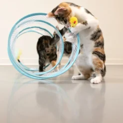 TIAKI spiraltunnel til katte