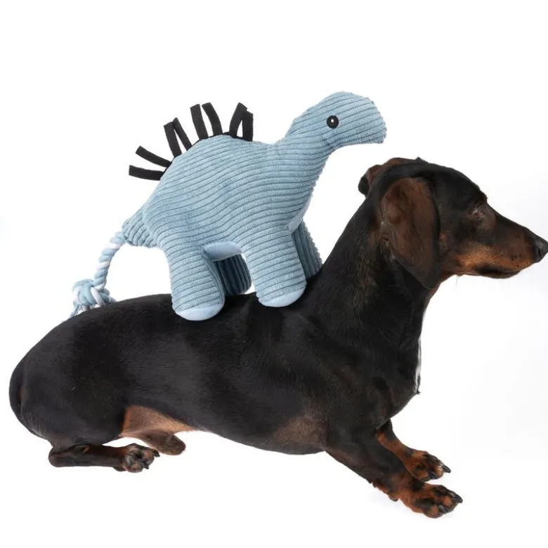 TIAKI Stegosaurus