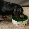 TIAKI sæt med krus og skål "Funny Winter Dogs"
