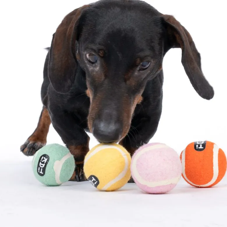 TIAKI tennisbolde til hunde i sæt