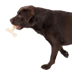 TIAKI T-formet tyggelegetøj Peanut Butter