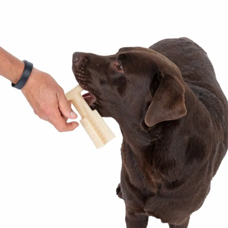 TIAKI T-formet tyggelegetøj Peanut Butter
