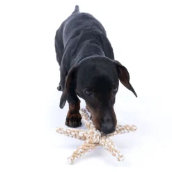TIAKI tovlegetøj søstjerne til hunde