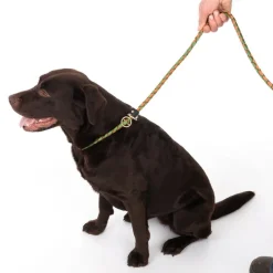 TIAKI Twist Retrieverline