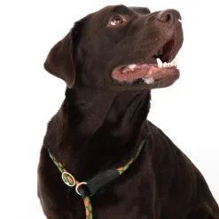 TIAKI Twist Retrieverline