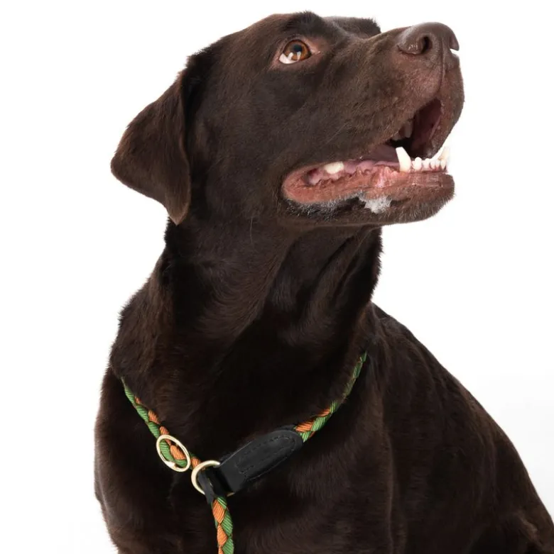 TIAKI Twist Retrieverline