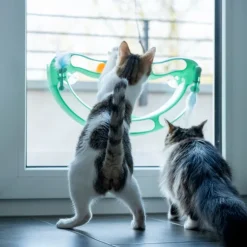 TIAKI Wave boldbane til katte