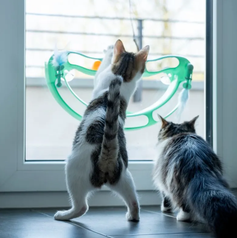 TIAKI Wave boldbane til katte