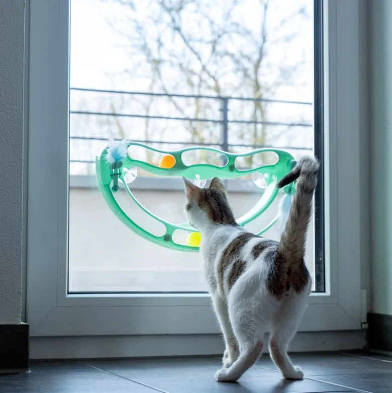 TIAKI Wave boldbane til katte