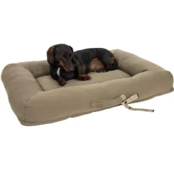 Toronto ecoLIFE Hundeseng